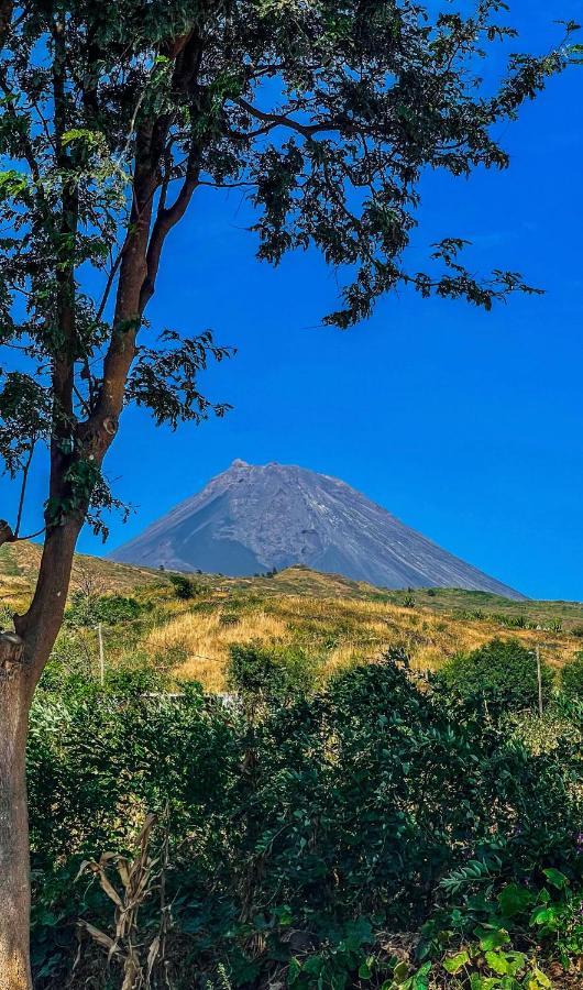 Cruzeiro Guest House ساو فيليبي المظهر الخارجي الصورة